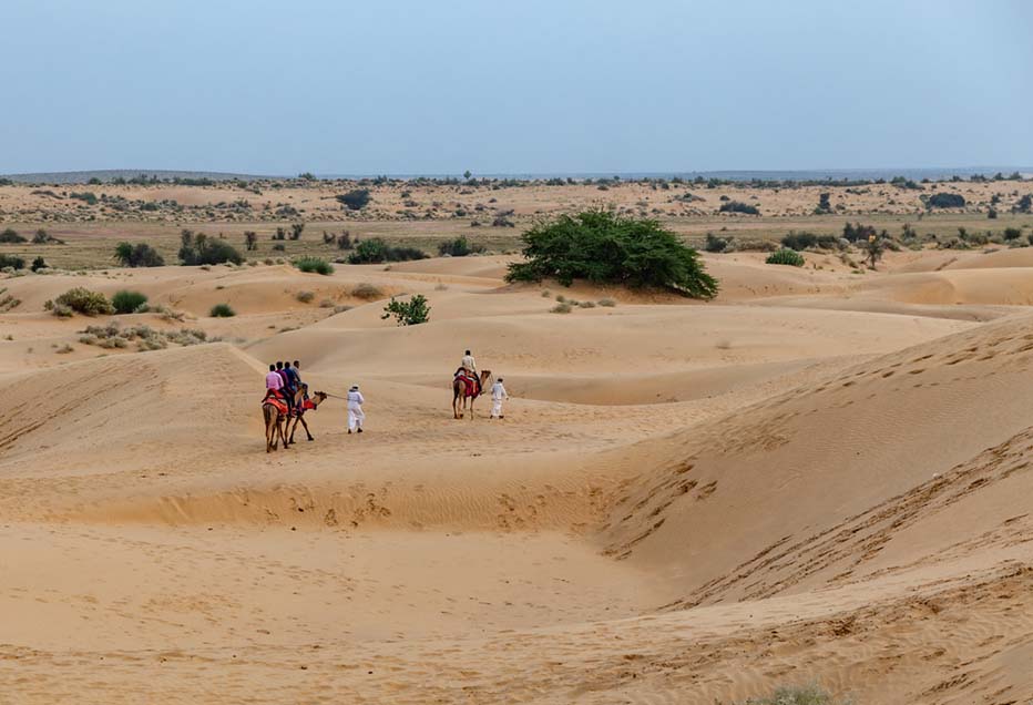 ‘DESIGNS’ to conserve and restore Thar desert