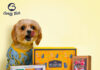 Goofy Tails launches Goofy Diwali Box for pets and pet parents Goofy Tails launches Goofy Diwali Box for pets and pet parents
