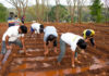 EY Global Delivery Services celebrates International Volunteering Day Week