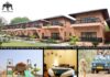Discovering Wilderness Luxury: The Pench International Resort