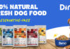 A Meal That Matters: How Is Dino Offering Preservative-Free Dog Food